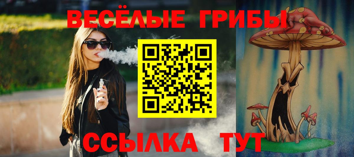 Псилоцибиновые грибы мицелий Кушва